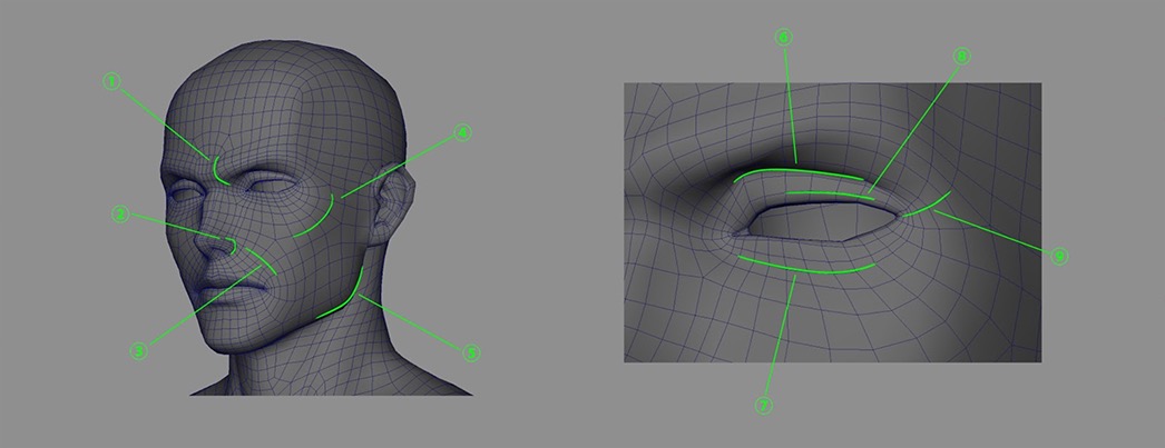 プロシージャルな目線から見たセルルックcgでのキャラクターモデリング 映像制作パイプラインとアーティストのテクニック